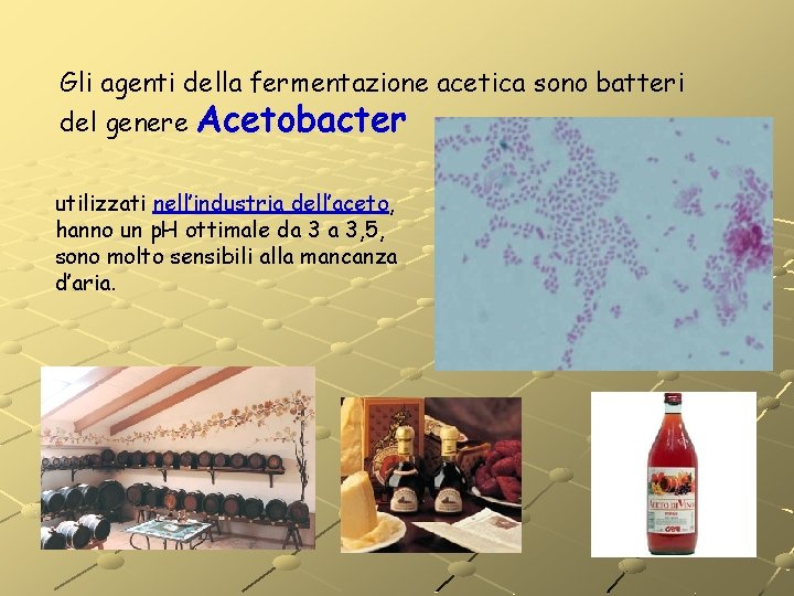 Gli agenti della fermentazione acetica sono batteri del genere Acetobacter utilizzati nell’industria dell’aceto, hanno Gli agenti della fermentazione acetica sono batteri del genere Acetobacter utilizzati nell’industria dell’aceto, hanno