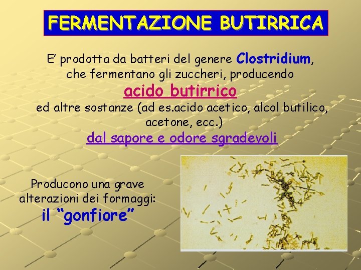 FERMENTAZIONE BUTIRRICA E’ prodotta da batteri del genere Clostridium, che fermentano gli zuccheri, producendo FERMENTAZIONE BUTIRRICA E’ prodotta da batteri del genere Clostridium, che fermentano gli zuccheri, producendo