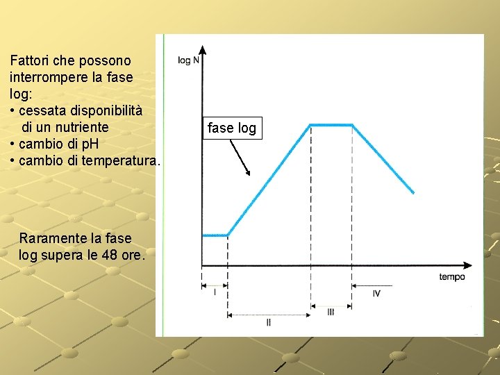 Fattori che possono interrompere la fase log: • cessata disponibilità di un nutriente • Fattori che possono interrompere la fase log: • cessata disponibilità di un nutriente •