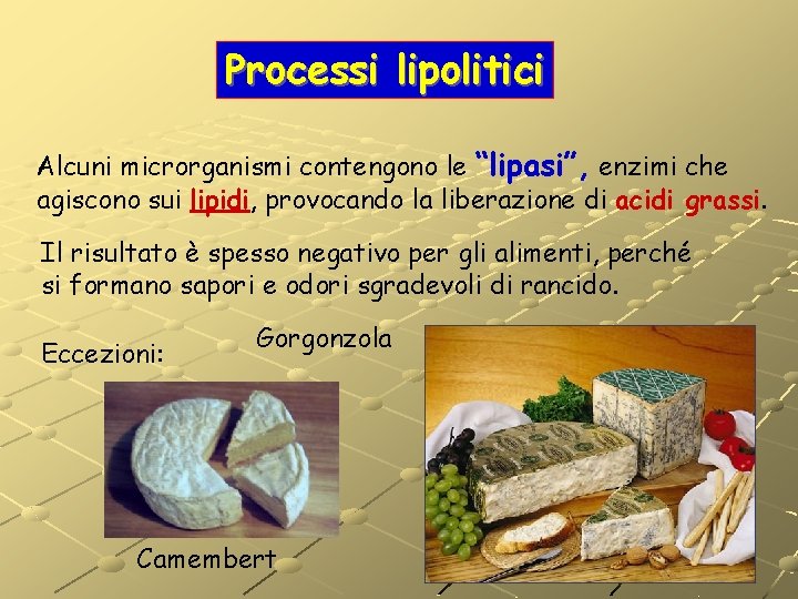 Processi lipolitici Alcuni microrganismi contengono le “lipasi”, enzimi che agiscono sui lipidi, provocando la Processi lipolitici Alcuni microrganismi contengono le “lipasi”, enzimi che agiscono sui lipidi, provocando la