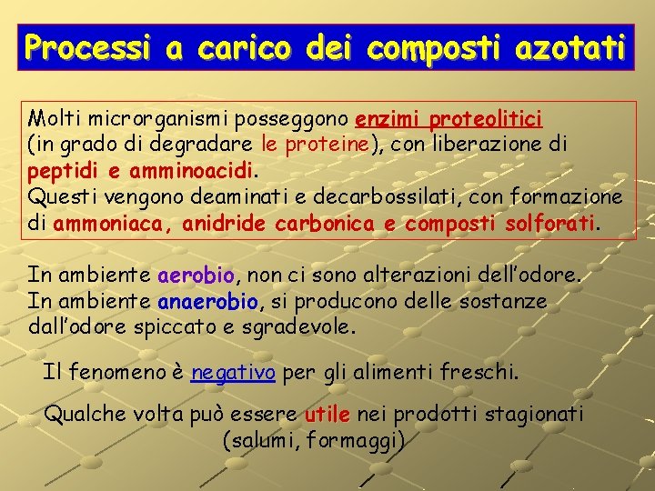 Processi a carico dei composti azotati Molti microrganismi posseggono enzimi proteolitici (in grado di Processi a carico dei composti azotati Molti microrganismi posseggono enzimi proteolitici (in grado di