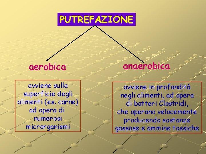 PUTREFAZIONE aerobica avviene sulla superficie degli alimenti (es. carne) ad opera di numerosi microrganismi PUTREFAZIONE aerobica avviene sulla superficie degli alimenti (es. carne) ad opera di numerosi microrganismi