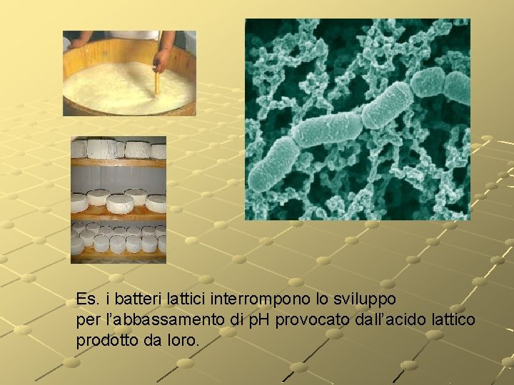 Es. i batteri lattici interrompono lo sviluppo per l’abbassamento di p. H provocato dall’acido Es. i batteri lattici interrompono lo sviluppo per l’abbassamento di p. H provocato dall’acido