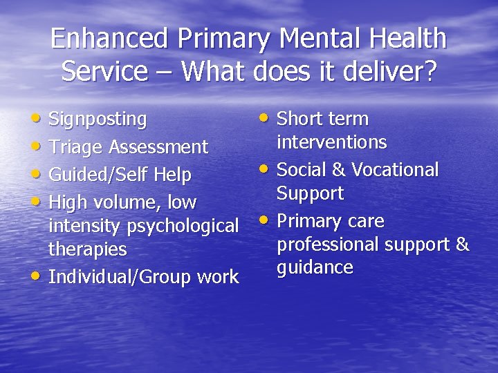 Enhanced Primary Mental Health Service Service Redesign Health
