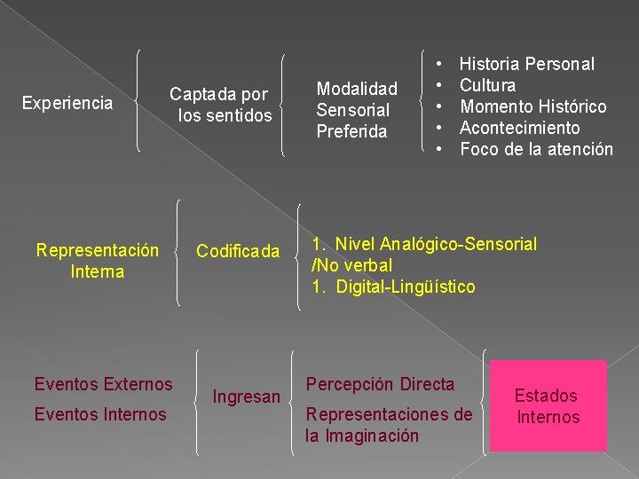 Experiencia Captada por los sentidos Representación Interna Eventos Externos Eventos Internos Codificada Ingresan Modalidad