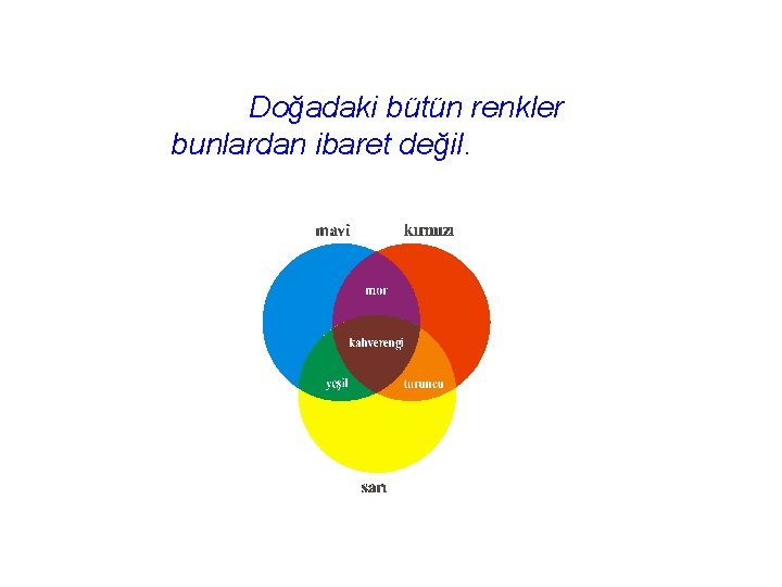 Doğadaki bütün renkler bunlardan ibaret değil. 