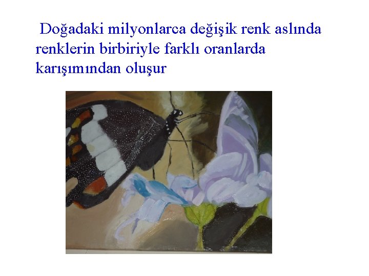 Doğadaki milyonlarca değişik renk aslında renklerin birbiriyle farklı oranlarda karışımından oluşur 
