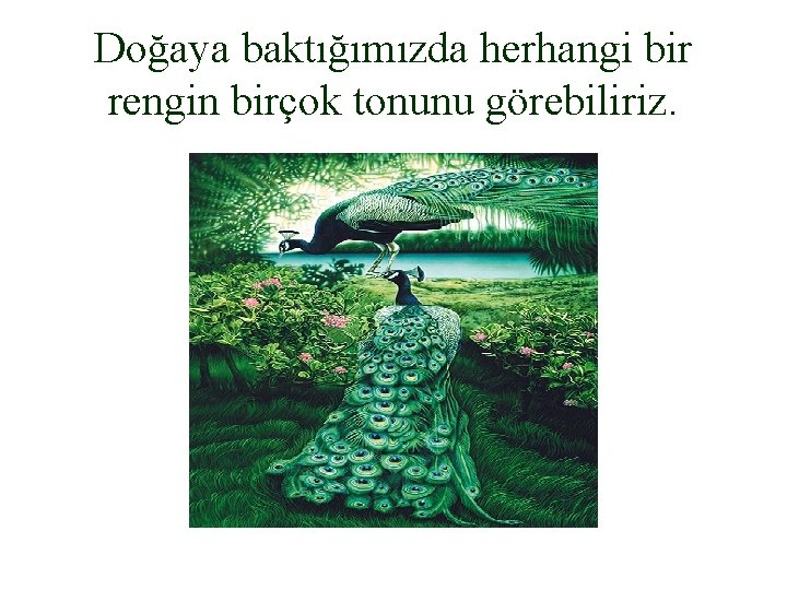 Doğaya baktığımızda herhangi bir rengin birçok tonunu görebiliriz. 