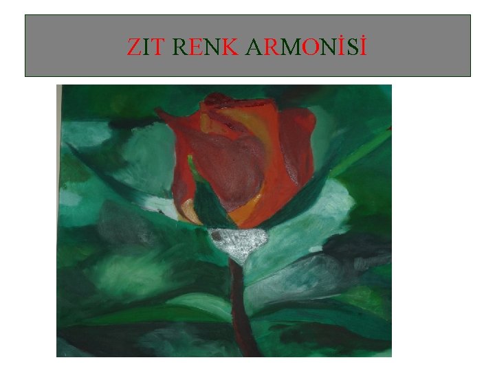 ZIT RENK ARMONİSİ 