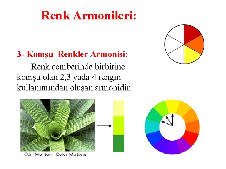 Renk Armonileri: 3 - Komşu Renkler Armonisi: Renk çemberinde birbirine komşu olan 2, 3