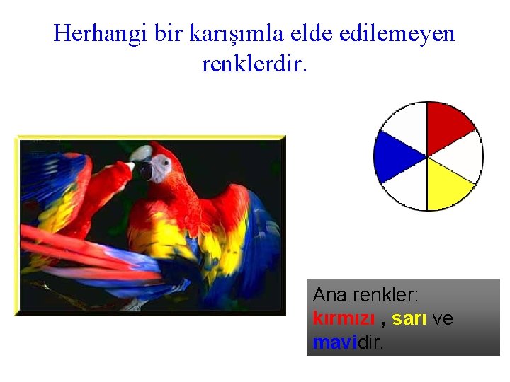 Herhangi bir karışımla elde edilemeyen renklerdir. Ana renkler: kırmızı , sarı ve mavidir. 