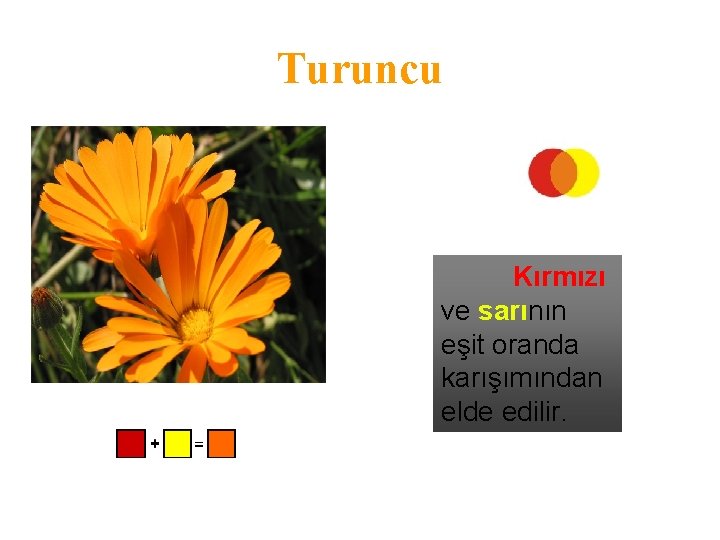 Turuncu Kırmızı ve sarının eşit oranda karışımından elde edilir. 