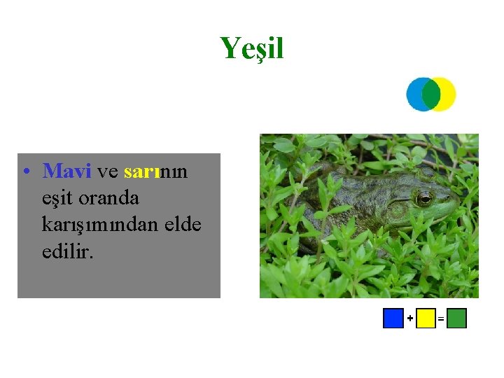 Yeşil • Mavi ve sarının eşit oranda karışımından elde edilir. 