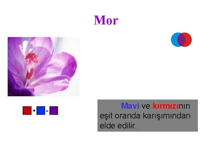 Mor Mavi ve kırmızının eşit oranda karışımından elde edilir. 