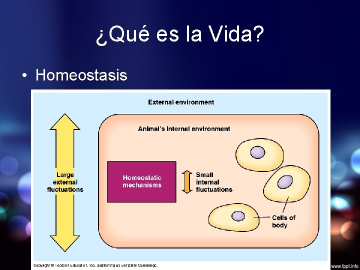 ¿Qué es la Vida? • Homeostasis 