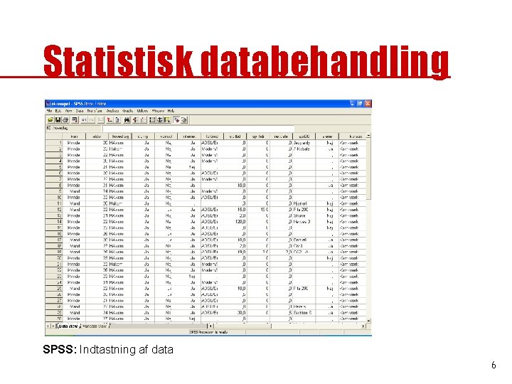 Statistisk databehandling SPSS: Indtastning af data 6 