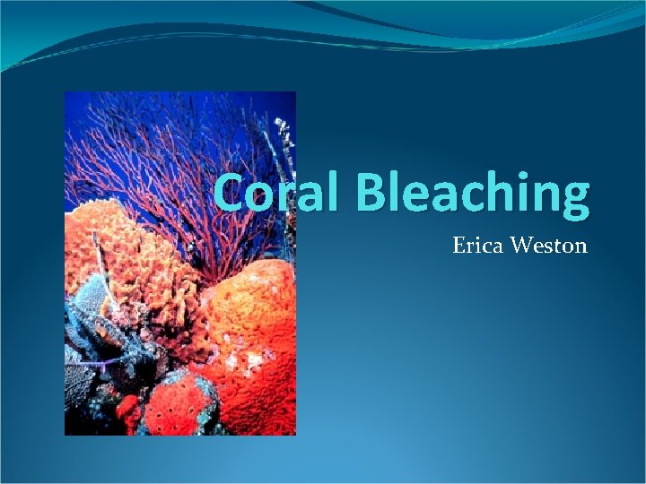 Coral Bleaching Erica Weston 