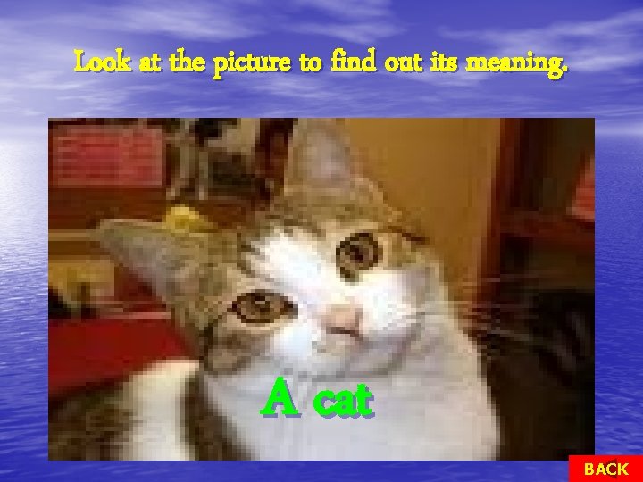 Look at the picture to find out its meaning. A cat BACK 