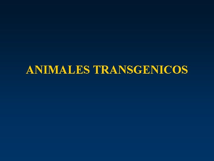 ANIMALES TRANSGENICOS 