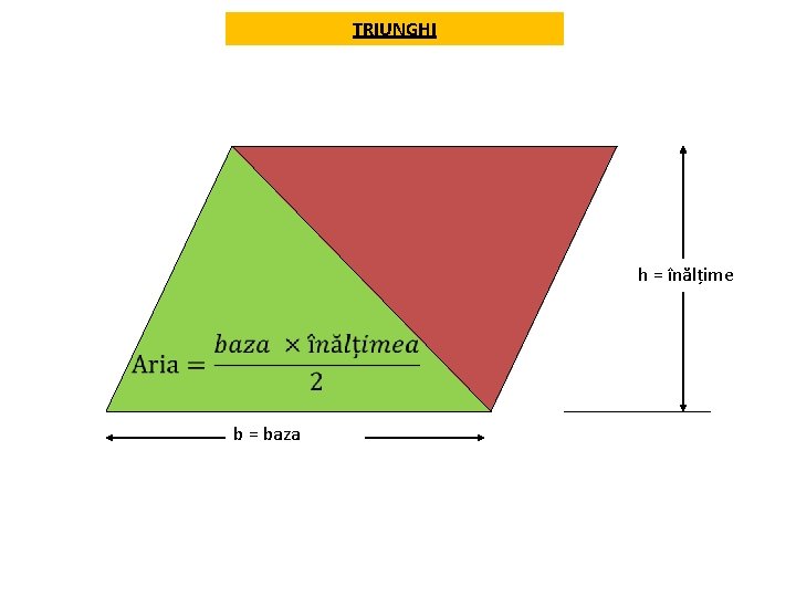 TRIUNGHI h = înălțime b = baza 