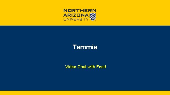 Tammie Video Chat with Feet! 