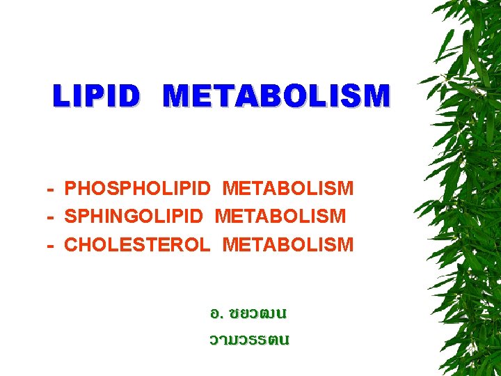 LIPID METABOLISM - PHOSPHOLIPID METABOLISM - SPHINGOLIPID METABOLISM - CHOLESTEROL METABOLISM อ. ชยวฒน วามวรรตน