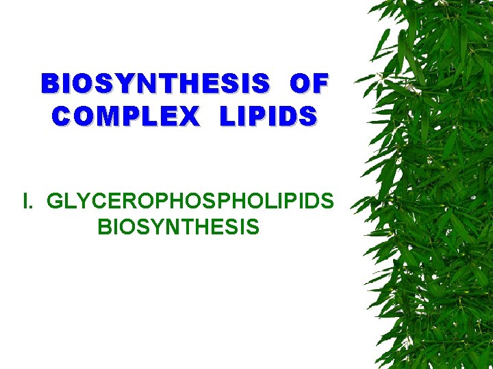 BIOSYNTHESIS OF COMPLEX LIPIDS I. GLYCEROPHOSPHOLIPIDS BIOSYNTHESIS 