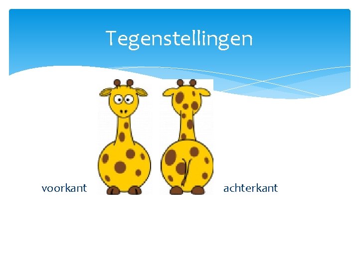 Tegenstellingen voorkant achterkant 