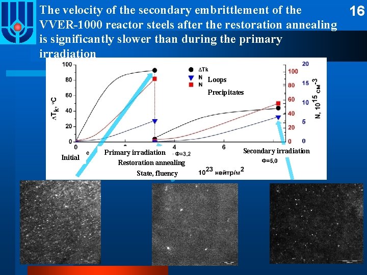 The velocity of the secondary embrittlement of the VVER-1000 reactor steels after the restoration