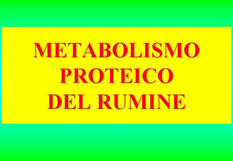 METABOLISMO PROTEICO DEL RUMINE 