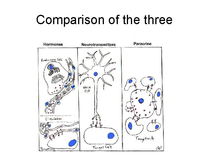 Comparison of the three 