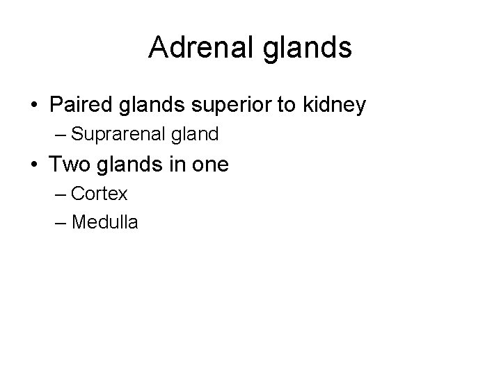 Adrenal glands • Paired glands superior to kidney – Suprarenal gland • Two glands