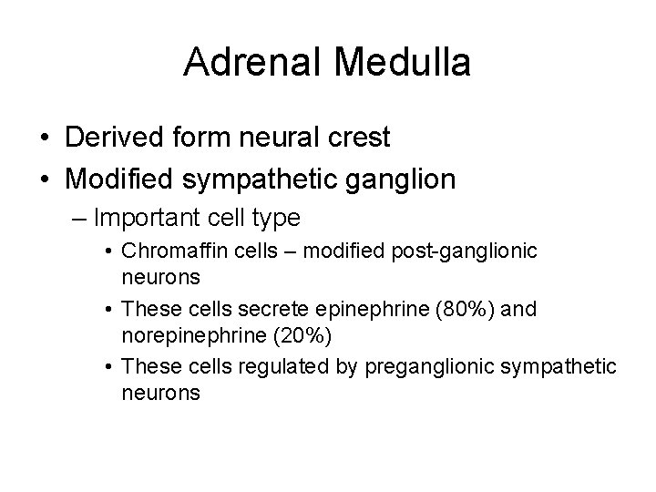 Adrenal Medulla • Derived form neural crest • Modified sympathetic ganglion – Important cell