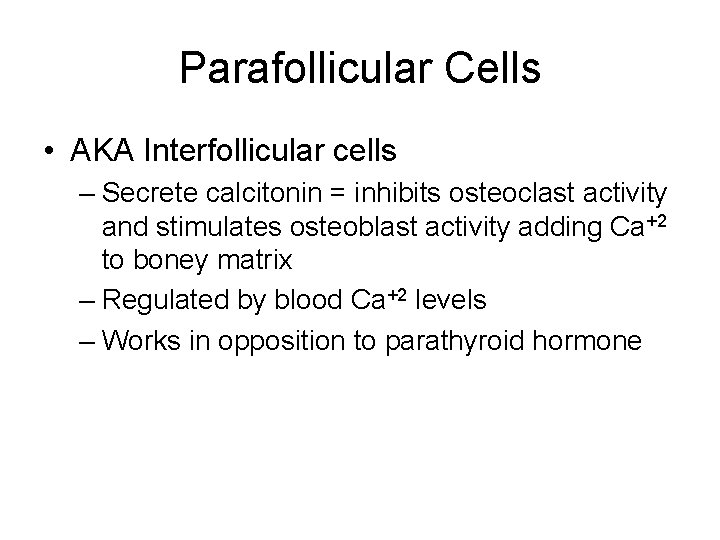 Parafollicular Cells • AKA Interfollicular cells – Secrete calcitonin = inhibits osteoclast activity and