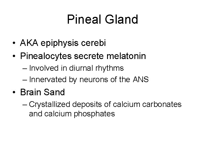 Pineal Gland • AKA epiphysis cerebi • Pinealocytes secrete melatonin – Involved in diurnal