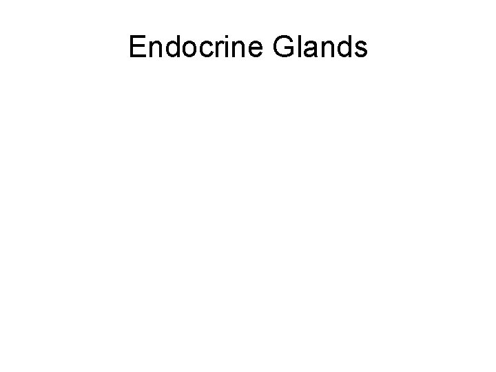 Endocrine Glands 