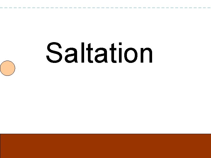 Saltation 