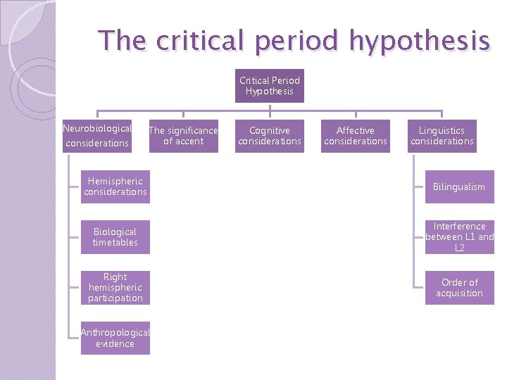 The critical period hypothesis Critical Period Hypothesis Neurobiological considerations The significance of accent Cognitive