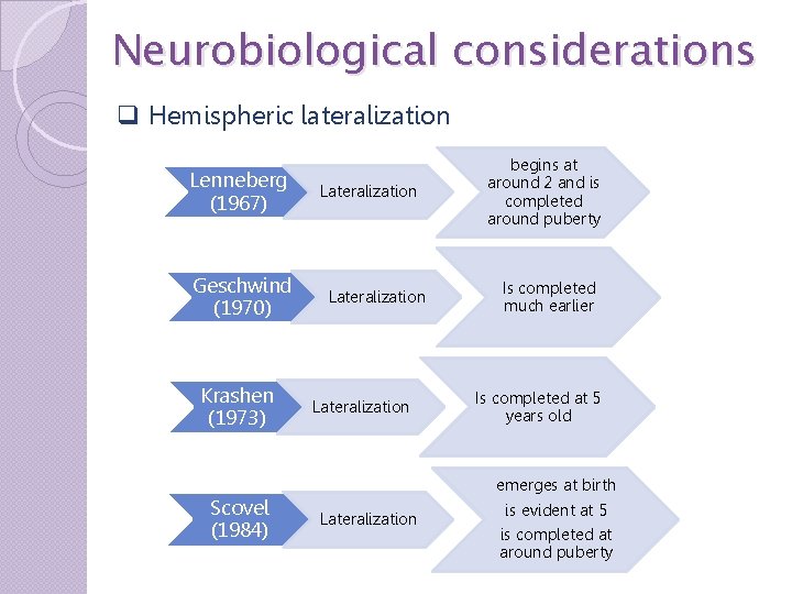 Neurobiological considerations q Hemispheric lateralization Lenneberg (1967) Geschwind (1970) Krashen (1973) Scovel (1984) Lateralization