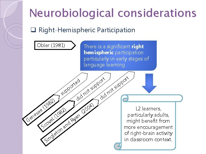 Neurobiological considerations q Right-Hemispheric Participation Obler (1981) There is a significant right hemispheric participation