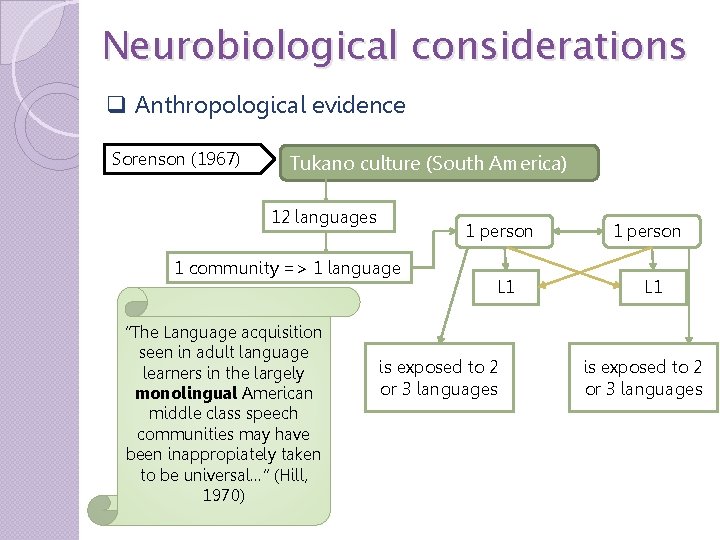 Neurobiological considerations q Anthropological evidence Sorenson (1967) Tukano culture (South America) 12 languages 1