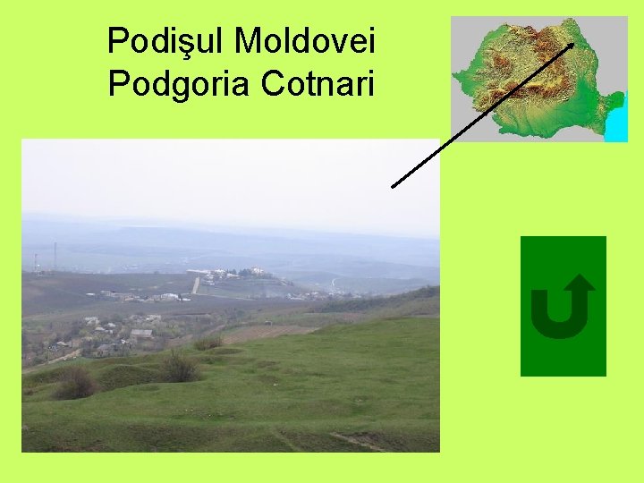 Podişul Moldovei Podgoria Cotnari 