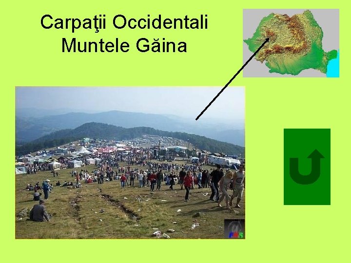 Carpaţii Occidentali Muntele Găina 