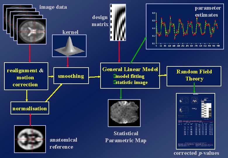 image data parameter estimates design matrix kernel realignment & motion correction General Linear Model