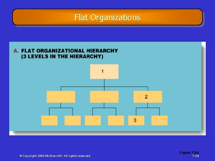 Flat Organizations © Copyright 2004 Mc. Graw-Hill. All rights reserved. Figure 7. 8 a