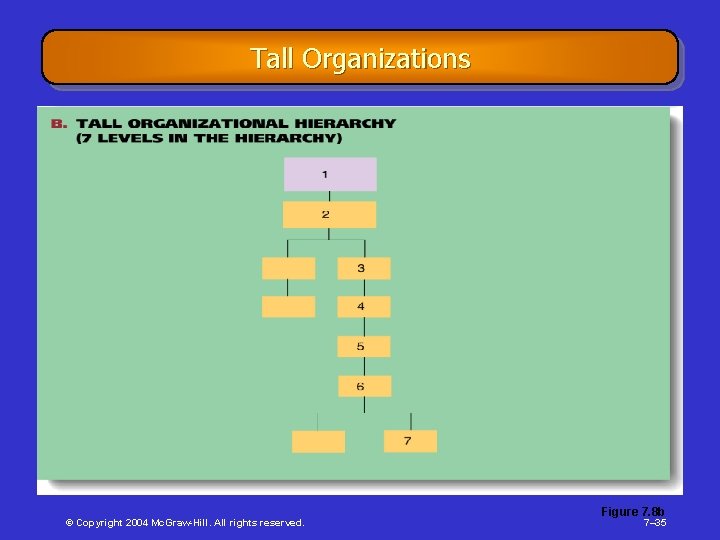 Tall Organizations © Copyright 2004 Mc. Graw-Hill. All rights reserved. Figure 7. 8 b