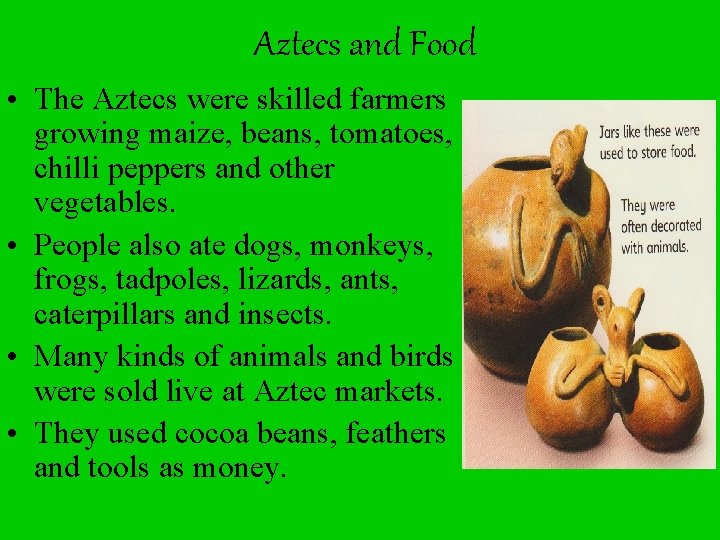 Aztecs and Food • The Aztecs were skilled farmers growing maize, beans, tomatoes, chilli