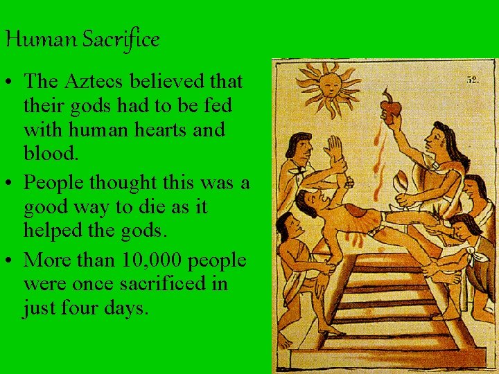Human Sacrifice • The Aztecs believed that their gods had to be fed with
