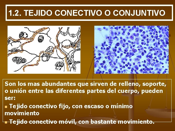 1. 2. TEJIDO CONECTIVO O CONJUNTIVO Son los mas abundantes que sirven de relleno,