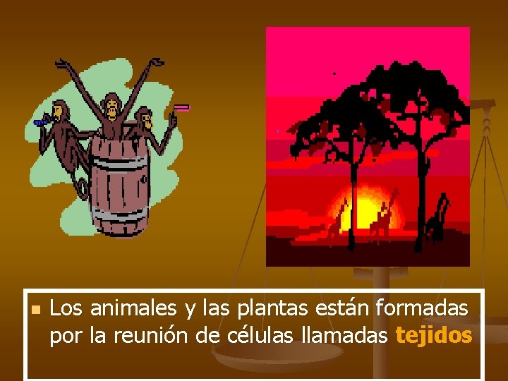 n Los animales y las plantas están formadas por la reunión de células llamadas